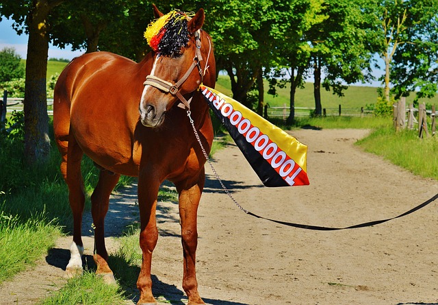 谓困难重重 谓困难重重