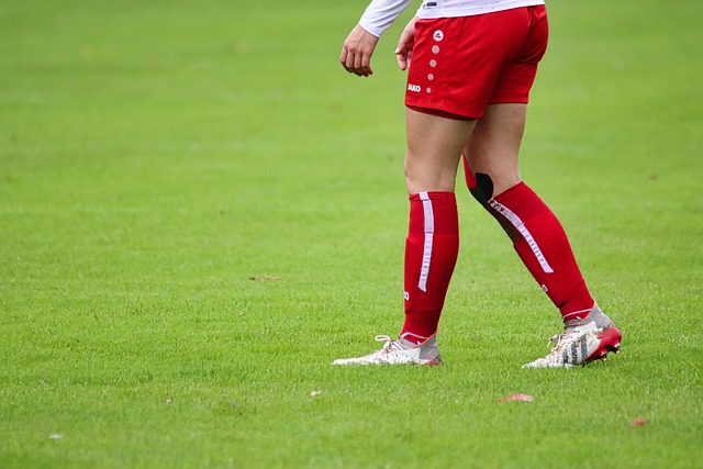 展和调整提 展和调整提