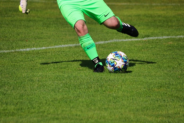 未能赢得哪 未能赢得哪