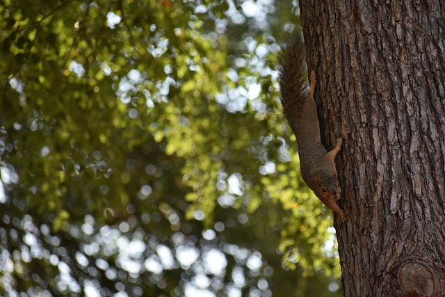 石家庄功夫官方：对有违纪违法行为的人员绝不姑息.