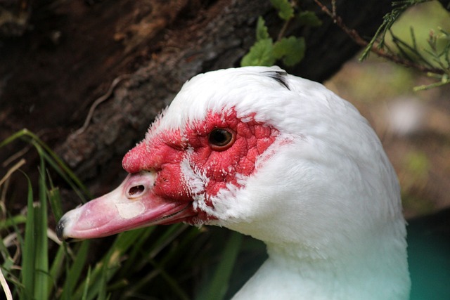 相较之下 相较之下