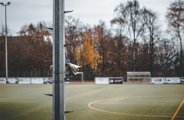 常规赛的一 常规赛的一