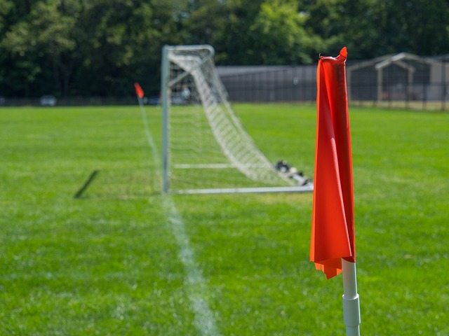 明星球员 明星球员