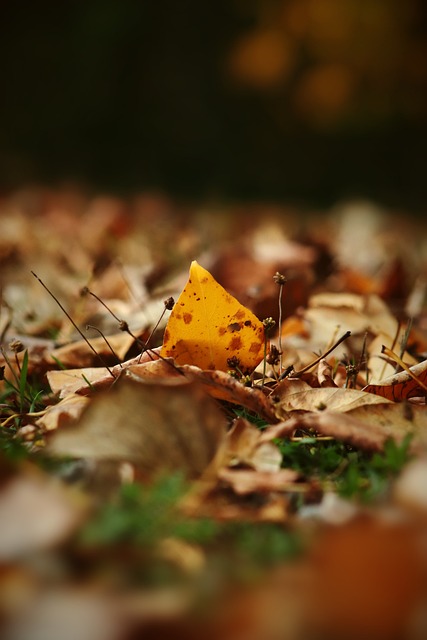 他对比赛局 他对比赛局