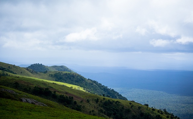 化操作系统 化操作系统